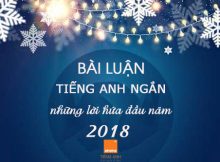 Bai-luan-tieng-anh-ngan-ve-nhung-loi-hua-dau-nam-2018