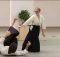 bai viet tieng anh ve so thich mon vo aikido